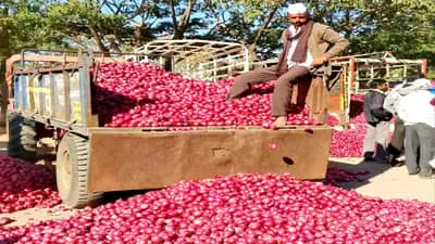 Onion Price Hike: दिल्ली में प्याज का भाव 80 के पार, पटना में 60 रुपये, मोदी सरकार के इस फैसले से लगेगी लगाम