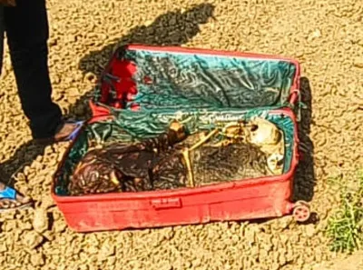 Ballia News : ट्राली बैग में किशोरी की लाश मिलने से मचा हड़कम्प, टुकड़ों में बंटी थी डेड बॉडी ; जांच में जुटी पुलिस