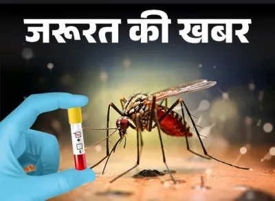 बलिया में डेंगू को लेकर स्वास्थ विभाग अलर्ट, जिला और ब्लाक स्तर पर कंट्रोल रूम स्थापित ; देखें नम्बर