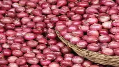 प्याज की बढ़ी कीमतों से राहत, लखनऊ में स्टाल लगाकर कम रेट पर हो रही बिक्री 