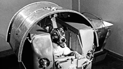 तीन नवंबर का इतिहास: आज के दिन ही सोवियत संघ ने पहले जीवित प्राणी को अंतरिक्ष में भेजा 