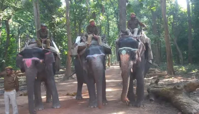 लखीमपुर-खीरी: खुल गए दुधवा के द्वार, पहले दिन सैलानियों की रही भरमार