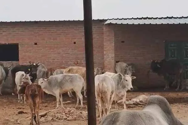 Hardoi News: हरदोई जिला प्रशासन की बड़ी लापरवाही आयी सामने