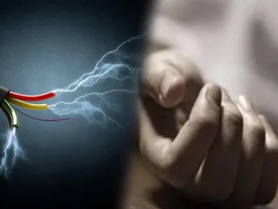 Ballia News: करंट की चपेट में आने से दो गोवंश की मौत, मचा कोहराम,