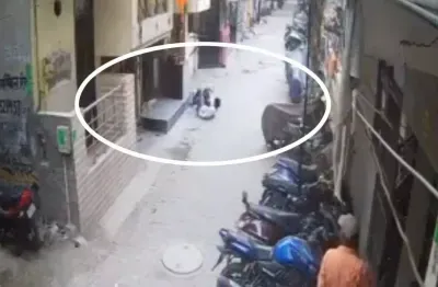 युवक पर टूट पड़ा अमेरिकन बुली, फिर...