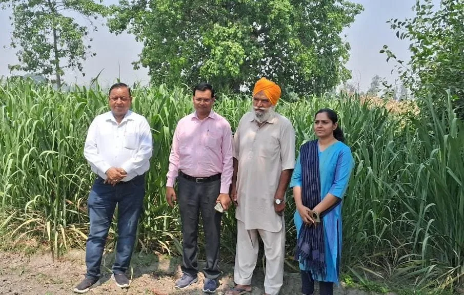 पीलीभीत:  जीपीएस बताएगा पेड़ी गन्ने का रकबा, अधिकारी नहीं करेंगे नपाई