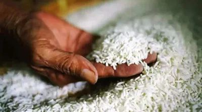 अल्मोड़ा: सुपरमार्केट में सप्लाई होने वाले चावल की जांच की जा रही है