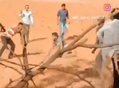 तेंदुए पर भारी पड़ा मीडियाकर्मी का जज्बा... नूराकुश्ती का खतरनाक वीडियो वायरल