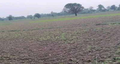 बलिया : चकबंदी प्रक्रिया की गड़बड़ी दुरूस्त करने को सक्रिय हुई राजस्व टीम
