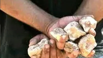 बरेली: सवारी भरने के विवाद पर ऑटो चालक ने रोडवेज बस पर किया पथराव