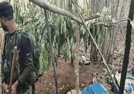 राज्य से नक्सलवाद को खत्म करना हमारा लक्ष्य: सूबे के मुखिया विष्णुदेव साय