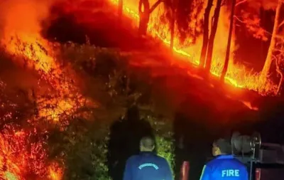 महत्वपूर्ण प्राकृतिक संसाधन