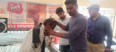 Ballia News: मधुमक्खियों के हमले से अधेड़ गंभीर रूप से घायल, अस्पताल में भर्ती