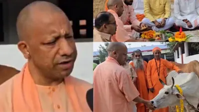 CM योगी ने गोरखनाथ मंदिर में की गोवर्धन पूजा, गायों को खिलाया गुड़-चना, दी शुभकामनाएं