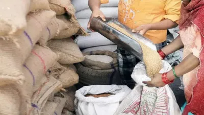 UP News: प्रदेश में फ्री राशन वितरण अभियान शुरू, 25 नवंबर तक चलेगा वितरण, निगरानी के लिए नियंत्रण कक्ष स्थापित