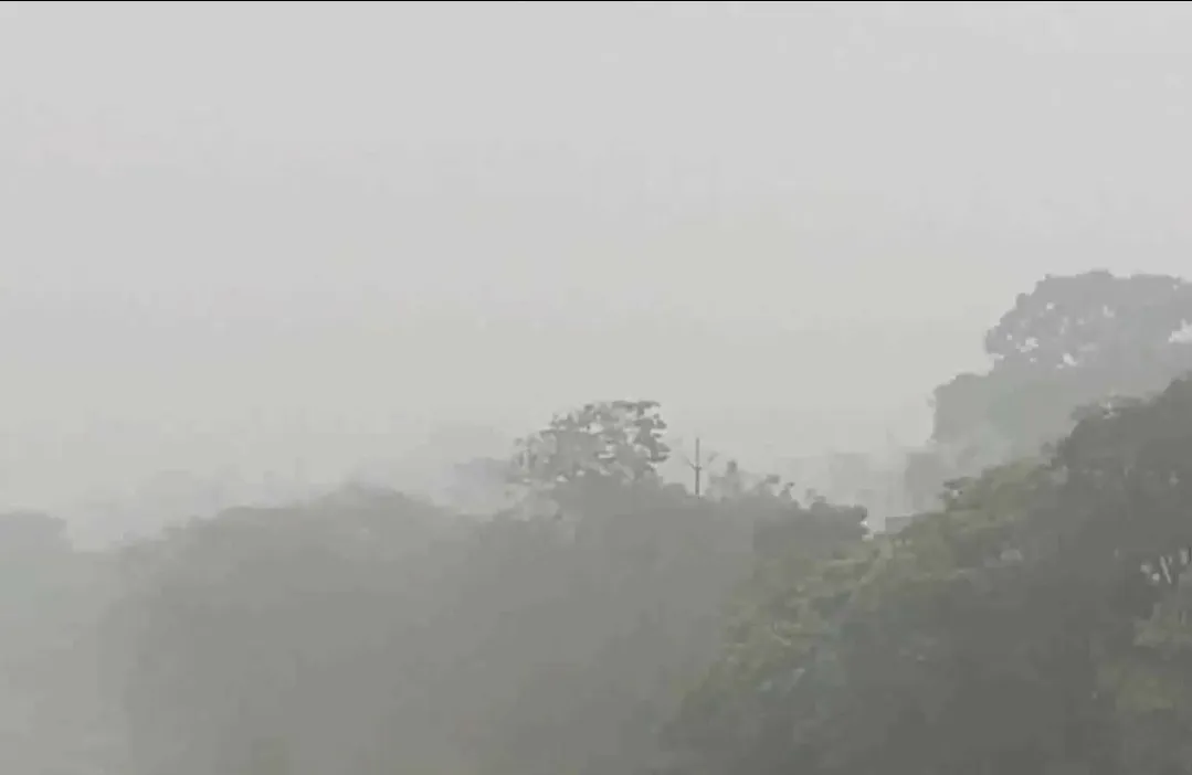 बलिया में घने कोहरे का कहर: विजिबिलिटी शून्य से 10 मीटर, सड़कों पर सन्नाटा, लोग घरों में रहे दुबके