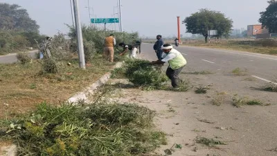 कानपुर : डिवाइडरों पर उगी घास और जमा मिट्टी की सफाई शुरू, नगर निगम का अभियान तेज