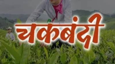 कन्नौज : किसानों व पंचायत सदस्यों ने चकबंदी निरस्त करने की मांग तेज की, CM को भेजा हलफनामा