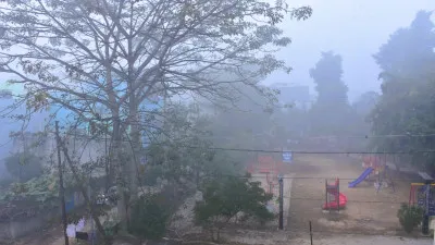 Moradabad News: सुबह कोहरे की चादर, दिन में धूप से मिली राहत