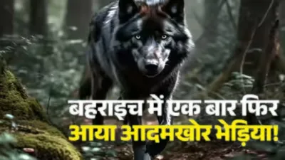 UP News : मां की गोद से बच्ची को उठा ले गया आदमखोर भेड़िया, ताबड़तोड़ तीसरी वारदात से दहशत