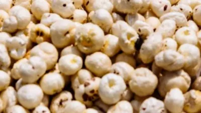 लखनऊ : मखाना की खेती में बिहार को टक्कर देने की तैयारी में उत्तर प्रदेश