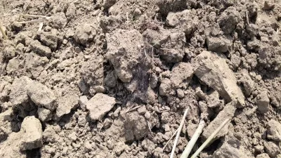 यूपी में सूखे तालाब से बोरी में मिलीं हड्डियां, सिर का कंकाल मिलने के बाद गांव में दहशत