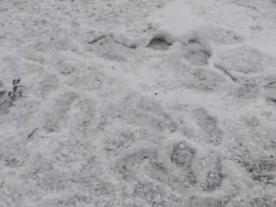 राजस्थान में छह अप्रैल से फिर बदलेगा मौसम, आंधी-बारिश और ओलावृष्टि के आसार