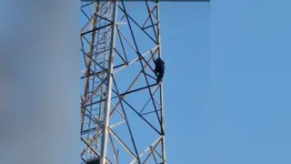 बलिया में प्रेमी से शादी की मांग पर युवती मोबाइल टॉवर पर चढ़ी, डेढ़ घंटे बाद उतरी