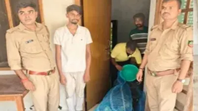 गोरखपुर में एसटीएफ की बड़ी कार्रवाई, 100 प्रतिबंधित तोतों के साथ वन्यजीव तस्कर गिरफ्तार