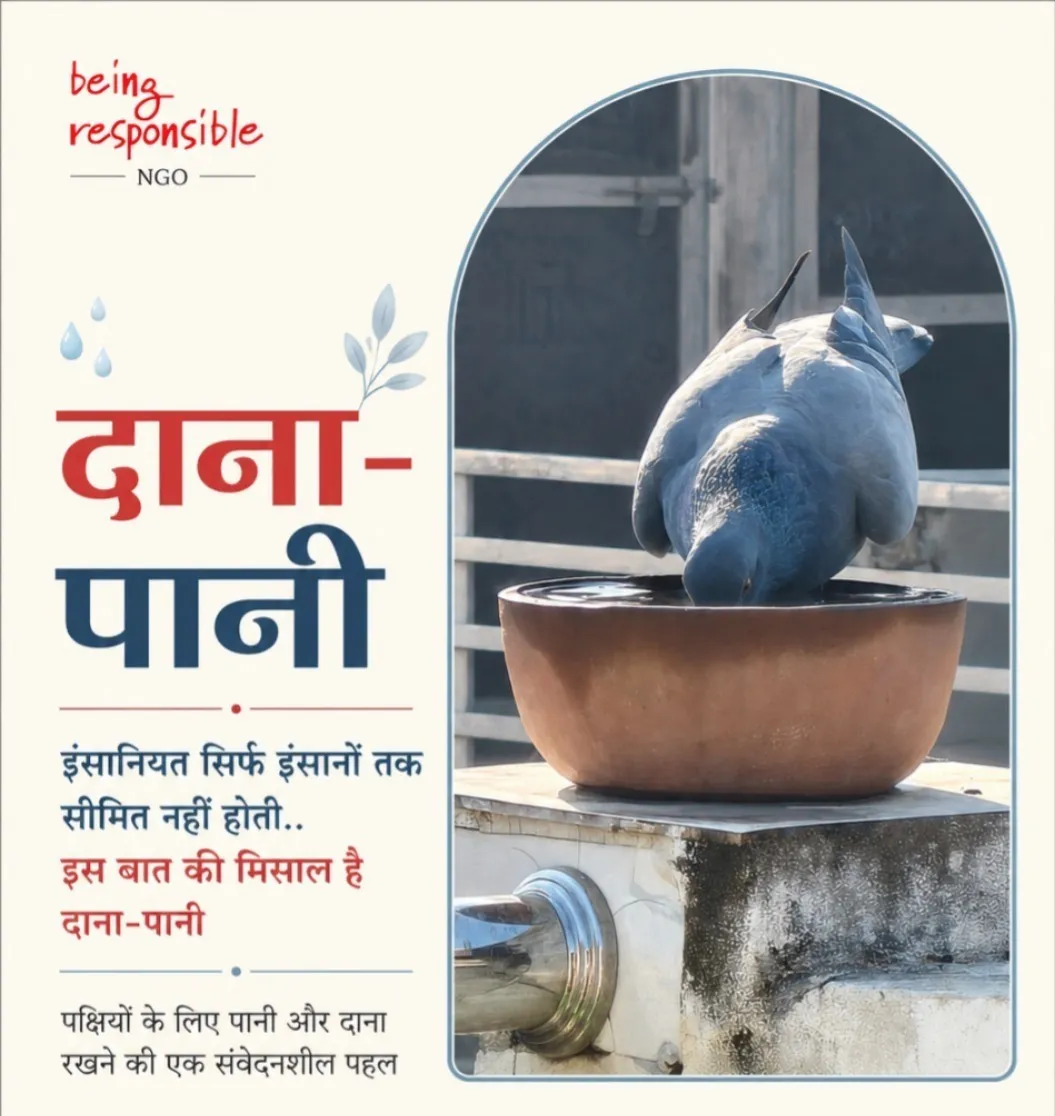 बेज़ुबानों को पिला रहे पानी, ‘दाना-पानी’ अभियान बना इंसानियत की मिसाल