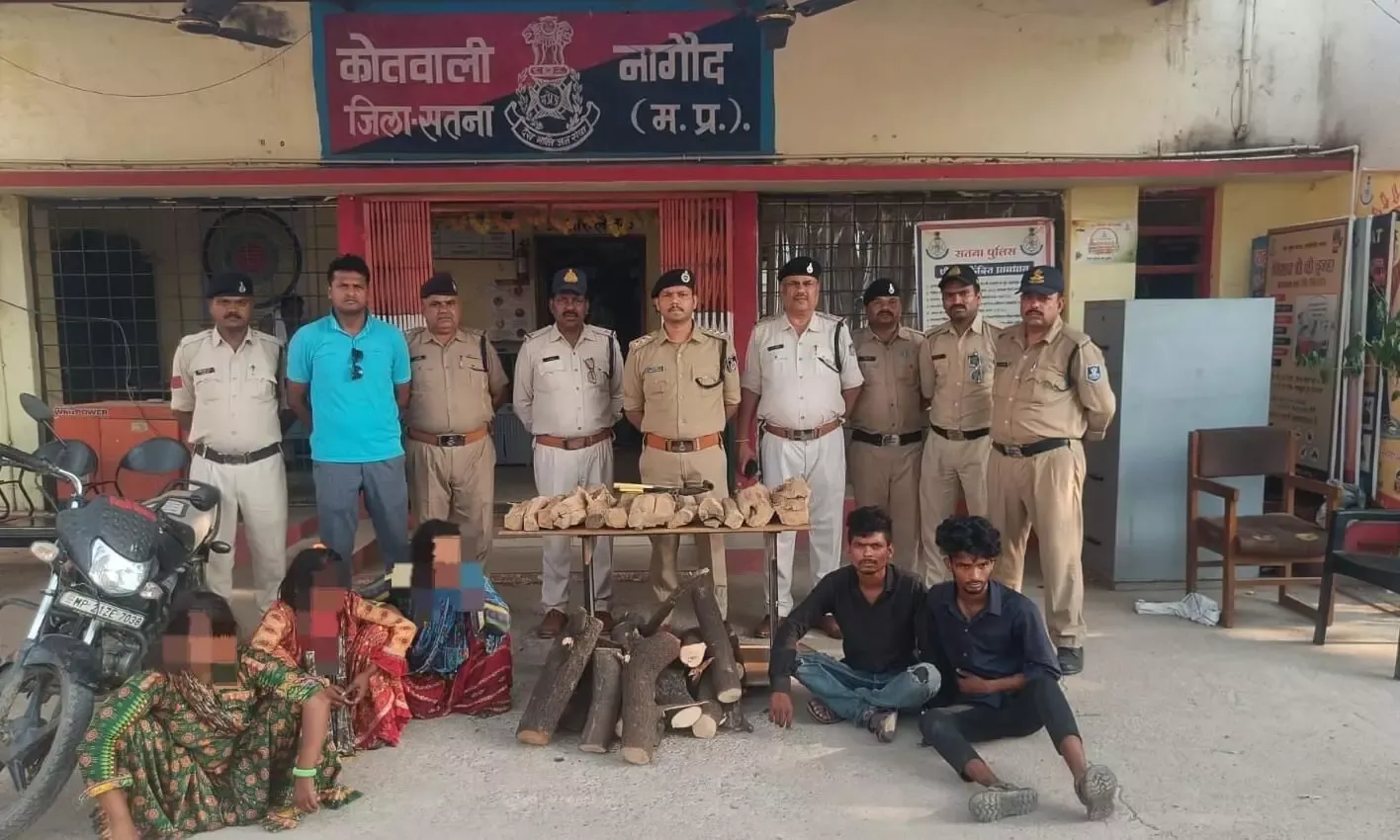 सतना में चंदन चोर गिरोह का पर्दाफाश, 3 महिलाओं समेत 6 गिरफ्तार; 7 वारदातों का खुलासा