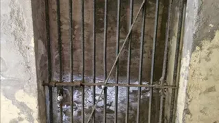 बांसडीह उपकोषागार के लाकर रूम से गायब हुआ ताला, सुरक्षा व्यवस्था पर उठे सवाल