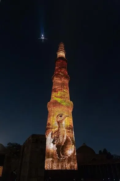 विश्व पर्यावरण दिवस पर गोडावण संरक्षण का संदेश, कुतुब मीनार पर दिखी ग्रेट इंडियन बस्टर्ड की प्रेरक कहानी