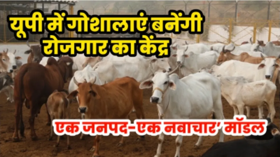 UP News: गोशालाओं से बढ़ेगा रोजगार, हर जिले में विकसित होगा अलग गो-आधारित उद्योग
