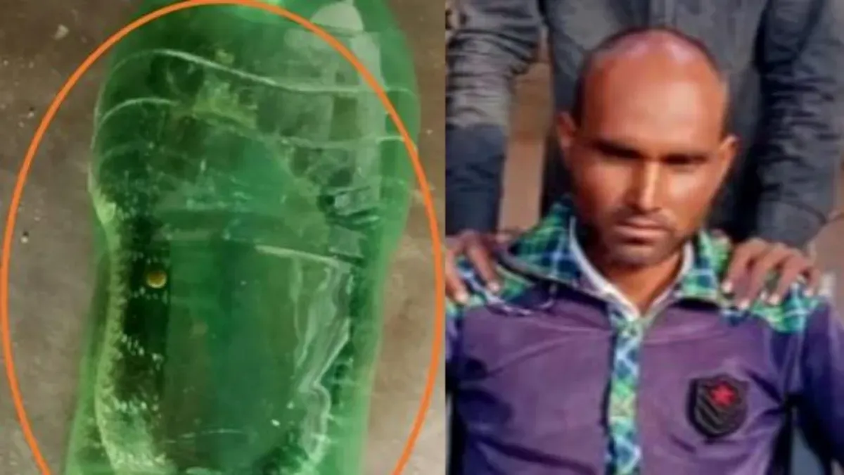 हरदोई: सांप के डसने के बाद जिंदा सांप को बोतल में लेकर मेडिकल कॉलेज पहुंचा युवक, इलाज के दौरान मौत