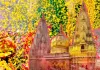 काशी विश्वनाथ धाम में पुष्पों से खेली जाएगी होली, रंगों के बजाय फूलों से होगा उत्सव