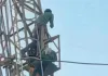 शादी की जिद में मोबाइल टावर पर चढ़ी युवती, घंटों चला हाईवोल्टेज ड्रामा