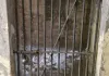 बांसडीह उपकोषागार के लाकर रूम से गायब हुआ ताला, सुरक्षा व्यवस्था पर उठे सवाल