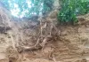 थिंक गैस ने पाइपलाइन क्षति के बाद तेजी से बहाल की गैस आपूर्ति, ‘डायल बिफोर यू डिग’ अभियान पर दिया जोर