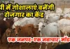 UP News: गोशालाओं से बढ़ेगा रोजगार, हर जिले में विकसित होगा अलग गो-आधारित उद्योग