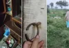 बलिया में घर में सो रहे परिवार को बाहर से बंद कर लाखों की चोरी, 3.50 लाख नकदी और गहने ले गए चोर