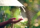 UP Weather Update: उत्तर प्रदेश में फिर बदलेगा मौसम का मिजाज, बेमौसम बारिश के आसार, किसानों को IMD की अहम सलाह