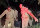 बहराइच में भीषण सड़क हादसा: कंबाइन मशीन से टकराई कार, चार की मौत, दो गंभीर