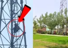 Rampur News: प्रेमी से शादी की जिद पर मोबाइल टावर पर चढ़ी युवती, घंटों मशक्कत के बाद उतारा गया नीचे