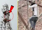 Budaun News: प्रेमिका से शादी की जिद में 200 फीट ऊंचे मोबाइल टावर पर चढ़ा युवक, तीन घंटे बाद पुलिस ने उतारा