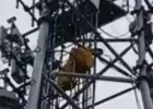 प्रेमी को बुलाने की जिद में 100 फीट ऊंचे मोबाइल टॉवर पर चढ़ी विवाहिता, पुलिस ने संभाला मोर्चा