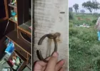 बलिया में घर में सो रहे परिवार को बाहर से बंद कर लाखों की चोरी, 3.50 लाख नकदी और गहने ले गए चोर