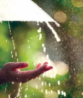 UP Weather Update: उत्तर प्रदेश में फिर बदलेगा मौसम का मिजाज, बेमौसम बारिश के आसार, किसानों को IMD की अहम सलाह
