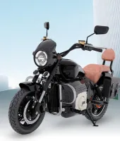 बाइक लवर्स को रोड पर कमांड का मिलेगा नया अनुभव; कोमाकी इलेक्ट्रिक ने लॉन्च की एमएक्स16 प्रो कीमत 1,69,999 रुपए से शुरू