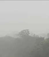 बलिया में घने कोहरे का कहर: विजिबिलिटी शून्य से 10 मीटर, सड़कों पर सन्नाटा, लोग घरों में रहे दुबके